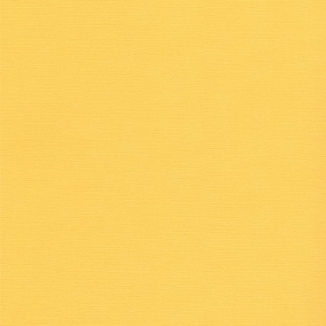 Sandable Cardstock - Light canary Sandable Cardstock - Light canary