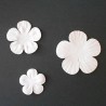Flores de Papel  Harmony