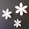 Flores de Papel Armonia