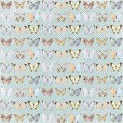 Butterflies - Butterfly