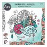 Colouring book - Imaginasia