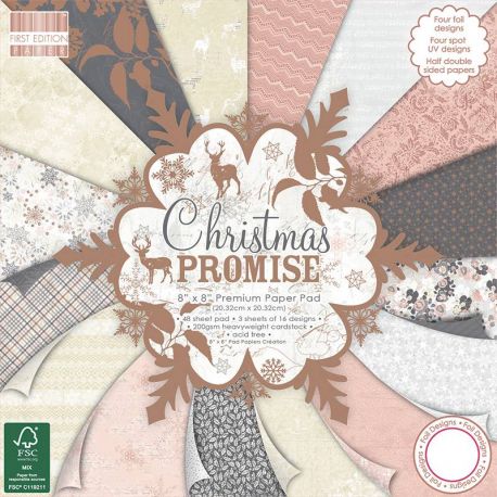 Paper Pad 20x20 Christmas Promise