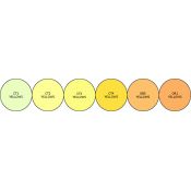 Carta de colores rotuladores de alcohol Spectrum Noir Yellow