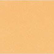 Lámina de Fieltro sintético 2mm Pastel Naranja
