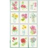 Bloc Acuarela para colorear - Flores 1
