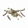 Broches 3cm