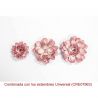Die'sire troquel Quilling Flowers Carnation (DS-C-CARND)