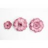 Die'sire troquel Quilling Flowers Shabby Rose (DS-C-SRD)