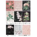 13 Arts - Rose Fields: hoja de recortables