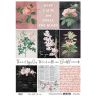 13 Arts - Rose Fields: hoja de recortables