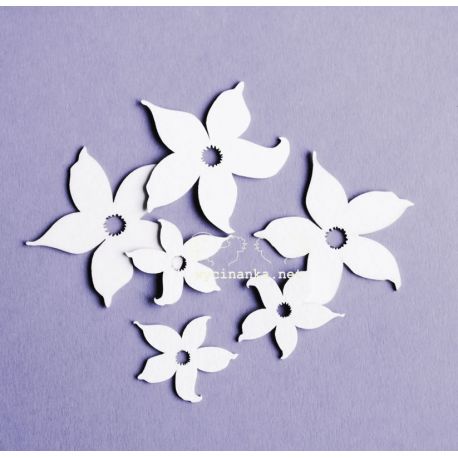 Laser Cut - Set de Narcisos Laser Cut - Set de Narcisos