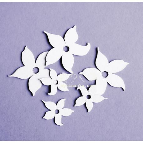 Laser Cut - Set de Narcisos