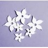 Laser Cut - Set de Narcisos