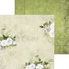 Craft O'Clock - Papel para scrapbooking And Remember Set de 15x15