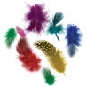 Plumas Guinea Vibrante