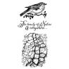Stamperia  - Set de sellos de caucho Cosmos Bird (WTKCCR02)