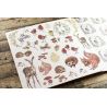 Craft Consortium - Winter Woodland Paper Pad