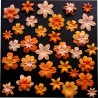 Surtido 45 Flores - Citrouilles