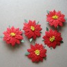 5 poinsetias Rojos