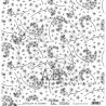 A rainbow of flowers - verso