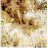 Beauty Restless Paper Set - pagina 4