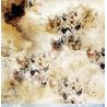 Beauty Restless Paper Set - pagina 5 dorso