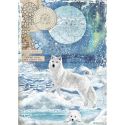 Papel Arroz A4 Wolf