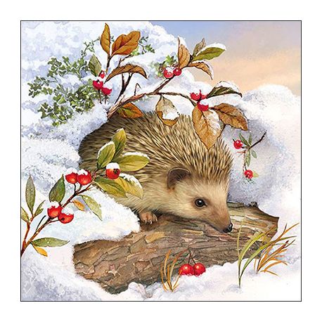 Servilleta Hedgehog Servilleta Hedgehog