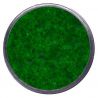 Polvo relieve Primary Evergreen