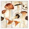 Servilleta Champignon