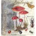 Servilleta Botanica Zoologica