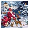 Servilleta Santa on Bench