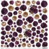 Plum In Chocolate - Extras to cut Flowers XXV