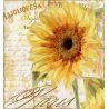 Servilleta Girasol