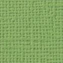 CARTULINA  textura Lienzo - VERDE HELECHO
