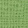 CARTULINA  textura Lienzo - VERDE HELECHO