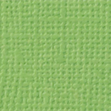CARTULINA textura Lienzo - VERDE AMARILLENTO CARTULINA textura Lienzo - VERDE AMARILLENTO