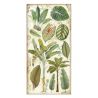 Amazonia Paper Pack 15X30 - hoja 4