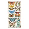 Amazonia Paper Pack 15X30 - hoja 5