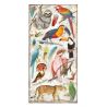 Amazonia Paper Pack 15X30 - hoja 6