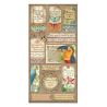 Amazonia Paper Pack 15X30 - hoja 10