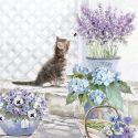 Servilleta Kitten