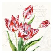 Servilleta Classic Tulip
