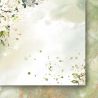 Golden Dreams 15X15 Set - Pagina 1