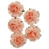 Rosas de papel - Salmon