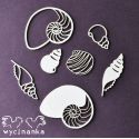 Laser Cut - Surtido de Conchas