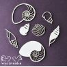 Laser Cut - Surtido de Conchas