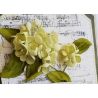 Troqueles Hydrangea - Ejemplo