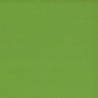 Sandable  Cardstock - Fern