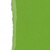 Sandable  Cardstock Rasgado- Fern